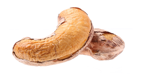 Hình ảnh cho danh mục Hạt điều